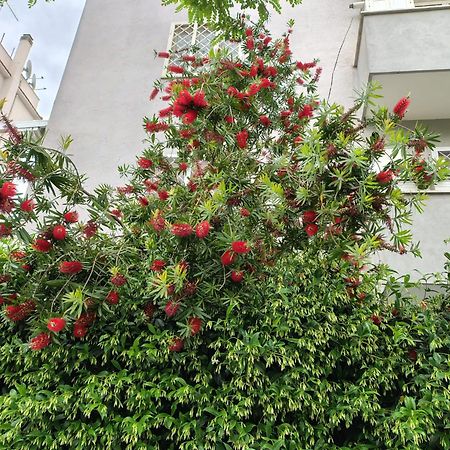 Appartamento Il Pozzo Roma Esterno foto